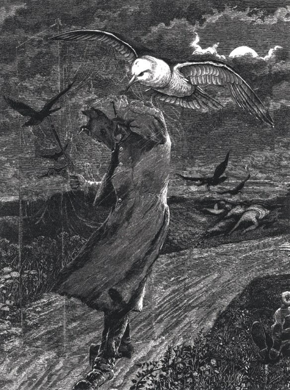 WM-Stormbird Harbinger