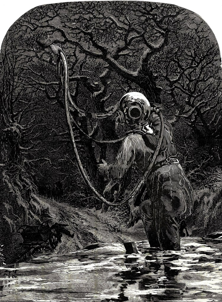 WM-Towards Voice Sept