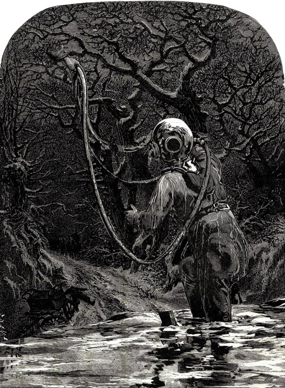 WM-Towards Voice Sept